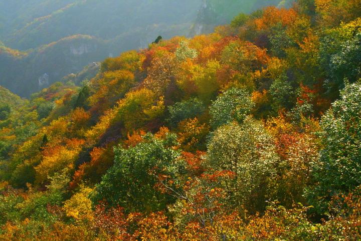 秋日蒙山