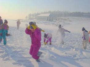 【作文大赛】寒假里的一场雪