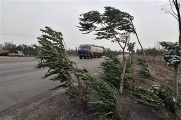 【作文大赛】暴风雨来袭后的感动