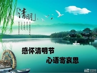 【作文大赛】清明节的哀思