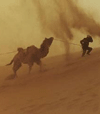 大漠飞沙的个性头像
